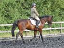 Image 15 in BBRC. EVENING DRESSAGE. 29 JUNE 2017