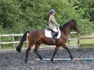 Image 18 in BBRC. EVENING DRESSAGE. 29 JUNE 2017