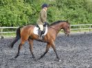 Image 33 in BBRC. EVENING DRESSAGE. 29 JUNE 2017