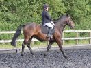 Image 53 in BBRC. EVENING DRESSAGE. 29 JUNE 2017