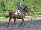 Image 73 in BBRC. EVENING DRESSAGE. 29 JUNE 2017