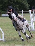 Image 103 in AREA 14 SHOW JUMPING WITH BBRC. 2 JULY 2017