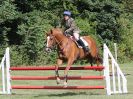 Image 109 in AREA 14 SHOW JUMPING WITH BBRC. 2 JULY 2017
