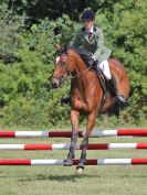 Image 113 in AREA 14 SHOW JUMPING WITH BBRC. 2 JULY 2017