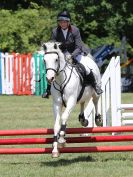 Image 115 in AREA 14 SHOW JUMPING WITH BBRC. 2 JULY 2017