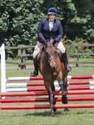 Image 130 in AREA 14 SHOW JUMPING WITH BBRC. 2 JULY 2017