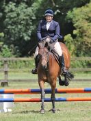 Image 131 in AREA 14 SHOW JUMPING WITH BBRC. 2 JULY 2017