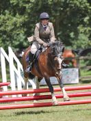 Image 132 in AREA 14 SHOW JUMPING WITH BBRC. 2 JULY 2017