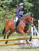 Image 134 in AREA 14 SHOW JUMPING WITH BBRC. 2 JULY 2017