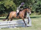 Image 135 in AREA 14 SHOW JUMPING WITH BBRC. 2 JULY 2017