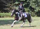 Image 141 in AREA 14 SHOW JUMPING WITH BBRC. 2 JULY 2017