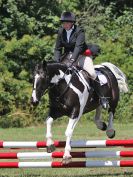 Image 144 in AREA 14 SHOW JUMPING WITH BBRC. 2 JULY 2017