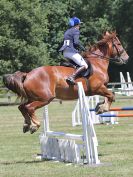 Image 146 in AREA 14 SHOW JUMPING WITH BBRC. 2 JULY 2017