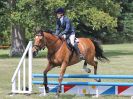 Image 156 in AREA 14 SHOW JUMPING WITH BBRC. 2 JULY 2017