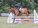 Image 157 in AREA 14 SHOW JUMPING WITH BBRC. 2 JULY 2017