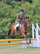 Image 160 in AREA 14 SHOW JUMPING WITH BBRC. 2 JULY 2017