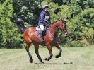 Image 167 in AREA 14 SHOW JUMPING WITH BBRC. 2 JULY 2017