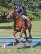 Image 174 in AREA 14 SHOW JUMPING WITH BBRC. 2 JULY 2017