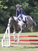 Image 178 in AREA 14 SHOW JUMPING WITH BBRC. 2 JULY 2017