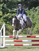 Image 185 in AREA 14 SHOW JUMPING WITH BBRC. 2 JULY 2017