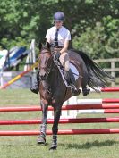 Image 188 in AREA 14 SHOW JUMPING WITH BBRC. 2 JULY 2017
