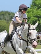 Image 207 in AREA 14 SHOW JUMPING WITH BBRC. 2 JULY 2017