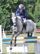 Image 214 in AREA 14 SHOW JUMPING WITH BBRC. 2 JULY 2017