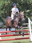 Image 216 in AREA 14 SHOW JUMPING WITH BBRC. 2 JULY 2017