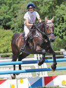 Image 218 in AREA 14 SHOW JUMPING WITH BBRC. 2 JULY 2017