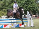 Image 220 in AREA 14 SHOW JUMPING WITH BBRC. 2 JULY 2017