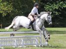 Image 224 in AREA 14 SHOW JUMPING WITH BBRC. 2 JULY 2017