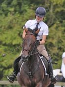 Image 226 in AREA 14 SHOW JUMPING WITH BBRC. 2 JULY 2017