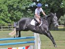 Image 235 in AREA 14 SHOW JUMPING WITH BBRC. 2 JULY 2017