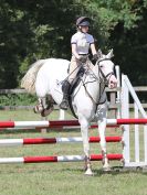 Image 237 in AREA 14 SHOW JUMPING WITH BBRC. 2 JULY 2017