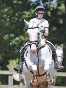 Image 238 in AREA 14 SHOW JUMPING WITH BBRC. 2 JULY 2017