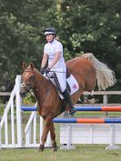 Image 251 in AREA 14 SHOW JUMPING WITH BBRC. 2 JULY 2017