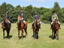 Image 278 in AREA 14 SHOW JUMPING WITH BBRC. 2 JULY 2017