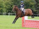 Image 301 in AREA 14 SHOW JUMPING WITH BBRC. 2 JULY 2017