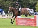 Image 303 in AREA 14 SHOW JUMPING WITH BBRC. 2 JULY 2017