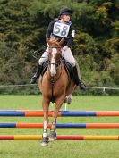 Image 304 in AREA 14 SHOW JUMPING WITH BBRC. 2 JULY 2017