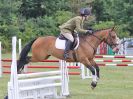 Image 5 in AREA 14 SHOW JUMPING WITH BBRC. 2 JULY 2017