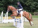 Image 51 in AREA 14 SHOW JUMPING WITH BBRC. 2 JULY 2017