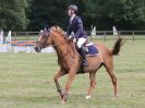 Image 52 in AREA 14 SHOW JUMPING WITH BBRC. 2 JULY 2017
