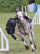 Image 57 in AREA 14 SHOW JUMPING WITH BBRC. 2 JULY 2017