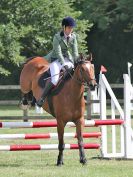 Image 61 in AREA 14 SHOW JUMPING WITH BBRC. 2 JULY 2017