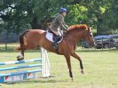 Image 64 in AREA 14 SHOW JUMPING WITH BBRC. 2 JULY 2017