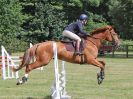 Image 96 in AREA 14 SHOW JUMPING WITH BBRC. 2 JULY 2017