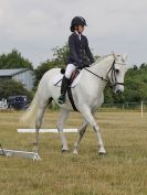 Image 100 in ADVENTURE RC. DRESSAGE AND GYMKHANA. 9 JULY 2017