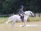Image 14 in ADVENTURE RC. DRESSAGE AND GYMKHANA. 9 JULY 2017