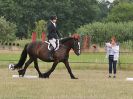Image 141 in ADVENTURE RC. DRESSAGE AND GYMKHANA. 9 JULY 2017